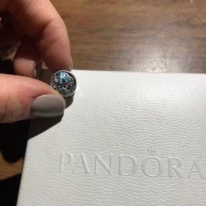 Pandora charms